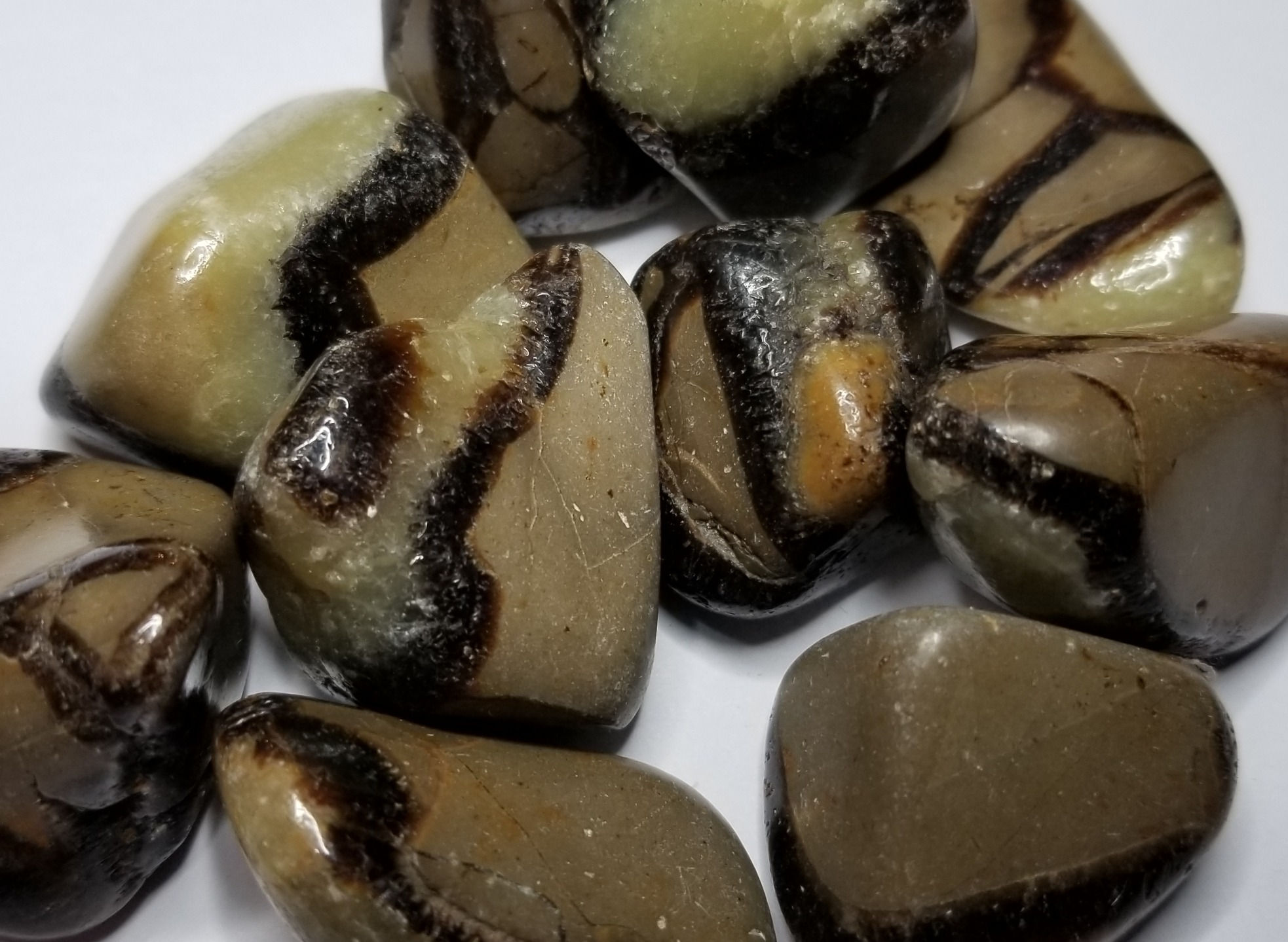 Septarian