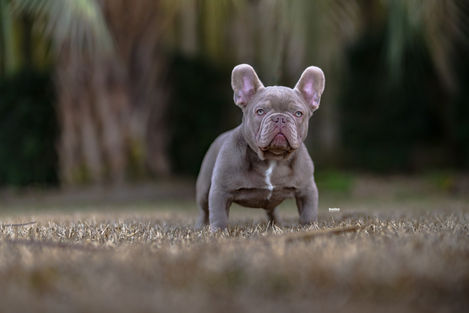 474149923_8839900376064186_6079534713392494941_n