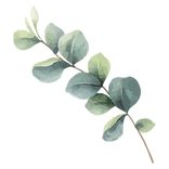 AdobeStock_739825254_6_edited.png
