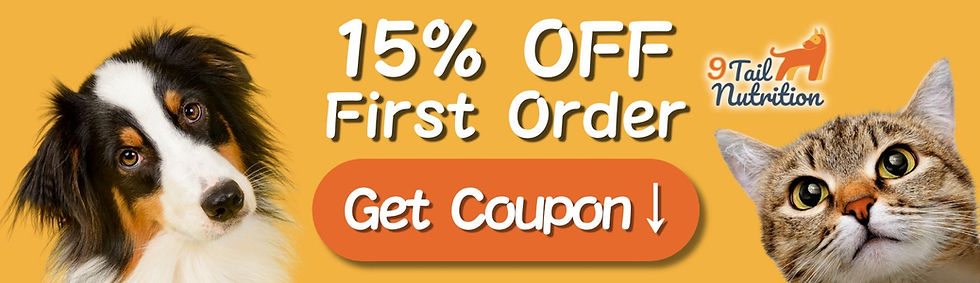 Sale Banner (10).jpg
