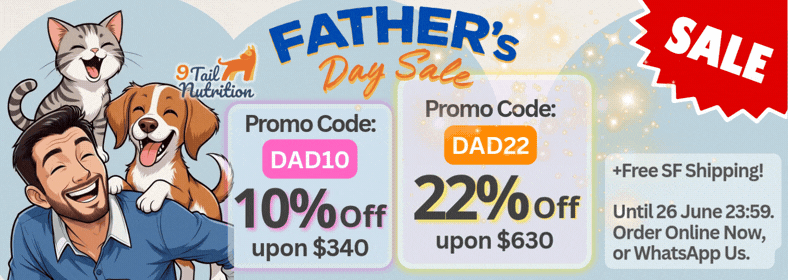 Sale Banner (5).gif
