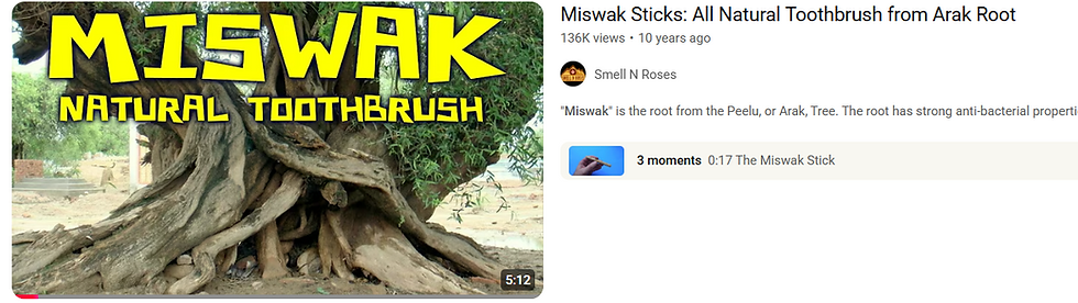 https://youtu.be/aMw4-NslLBs?si=OO4YBAfH_RjnL8Bh