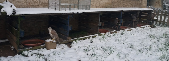 20180228_093530.jpg