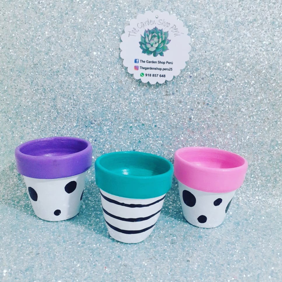 Miniatura: Set 3 Macetitas s/ Planta 7x7