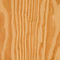 Southern Yellow Pine