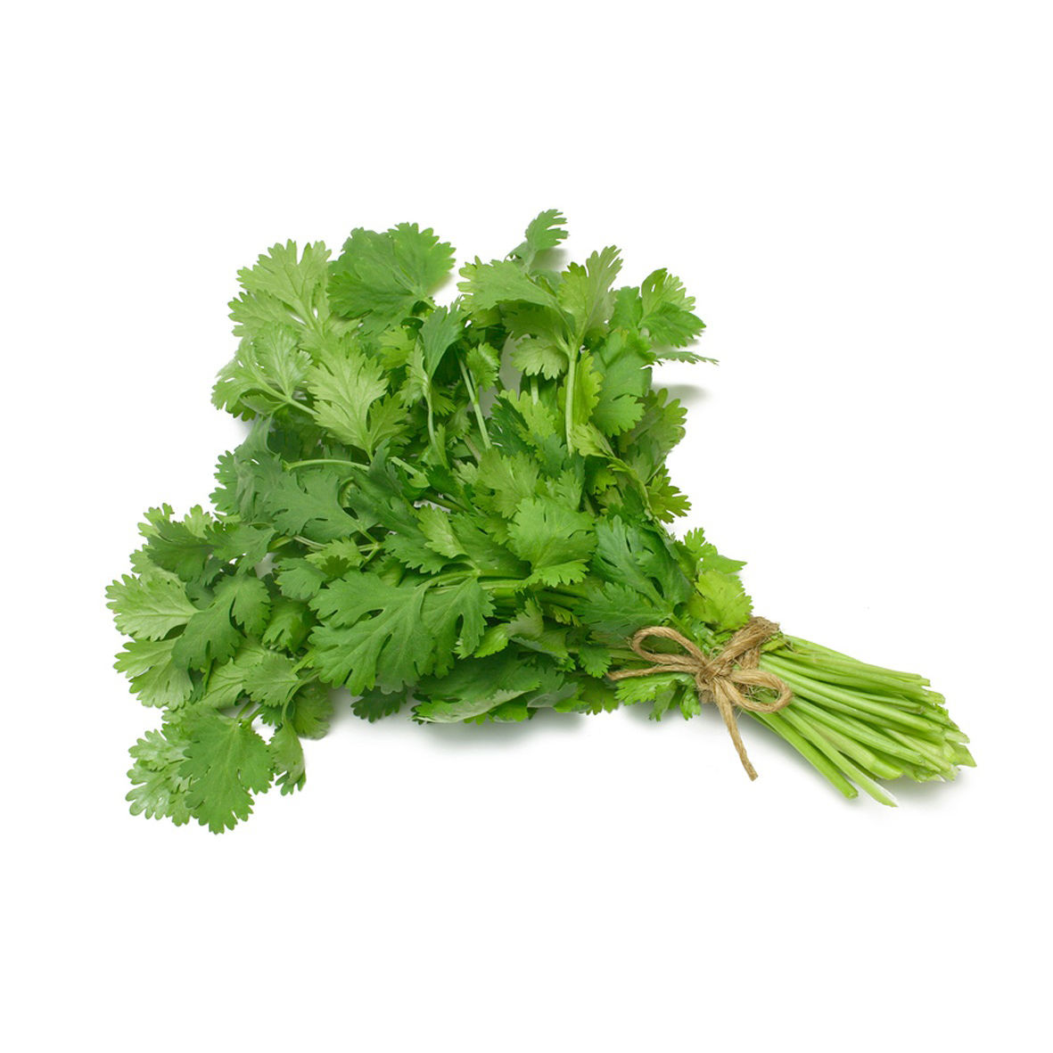 Fresh Coriander 80g