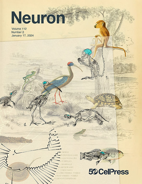 cover.tif.jpg