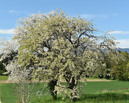 DSC_0926_edited.jpg