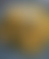 Prawn and Spinach Byriani