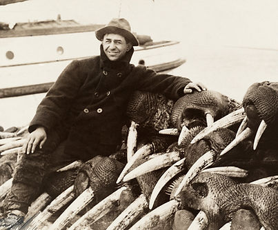 Walrus_hunter_1911.jpg