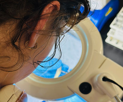 hazel sampling pilot whale tooth IMG_2819.jpg