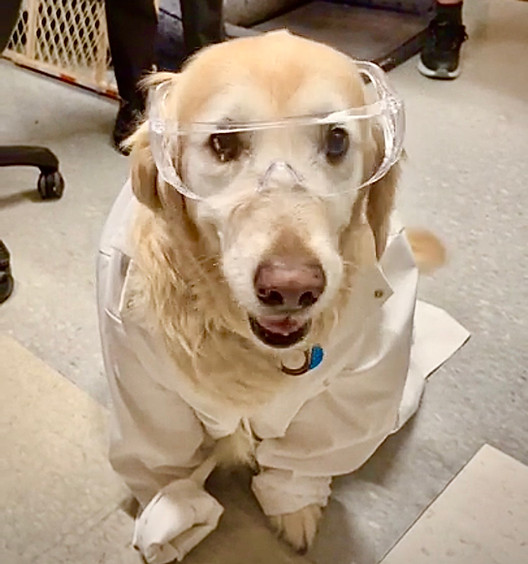 joy in lab gear 2024.JPG
