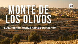 Viaje a Israel 2025 - Monte de los Olivos