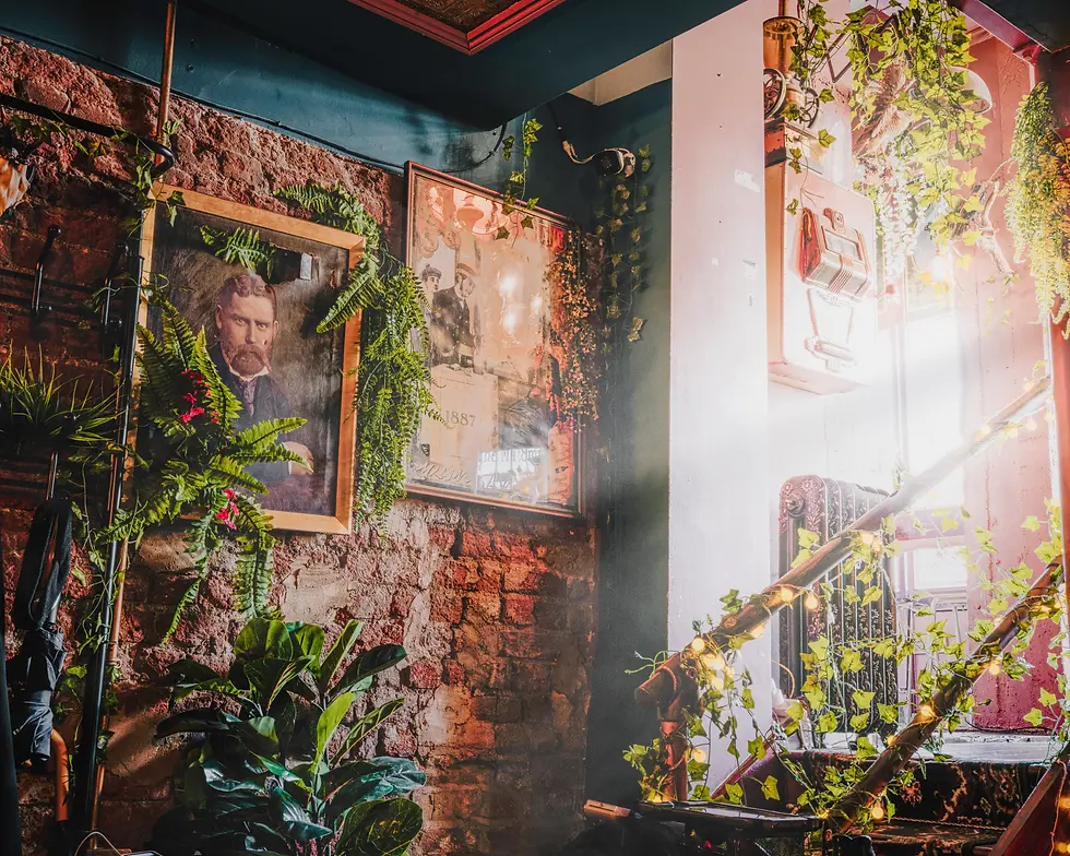 A photo of the entrance steps down into the main bar area. Plants and art fill the walls whilst a sun beam shines down illuminating the scene