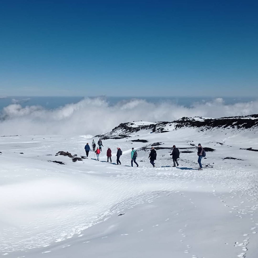 Parco Regionale dell'Etna