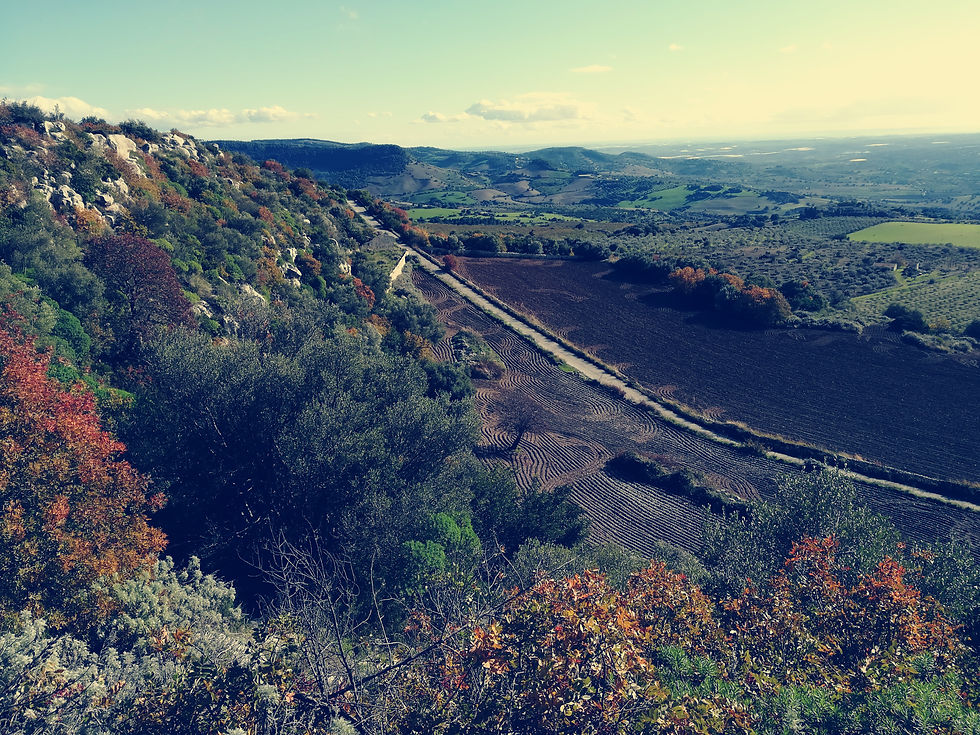Vue sur la vallée du Tellaro