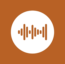 Logo Vintage Audio Repair Magdeburg