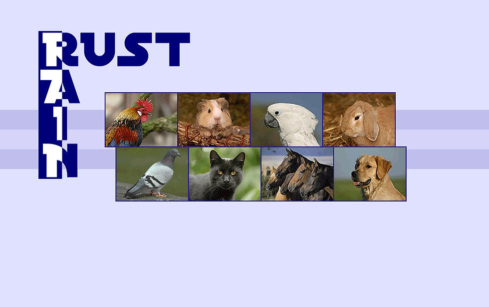 Sponsor RUST