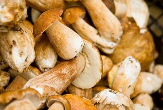 porcini.jpg
