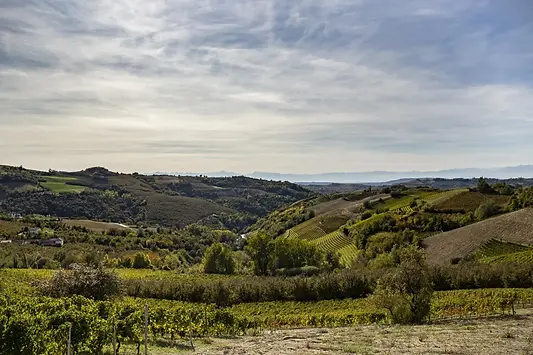 villa d'amelia hills 62e7b9f44789d.jpg.webp