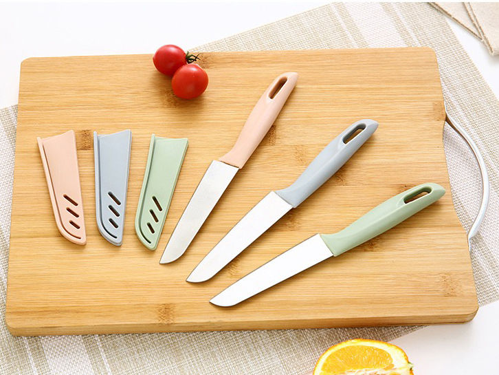 Thumbnail: HOT-SELLING STAINLESS STEEL FRUIT PARING KNIFE