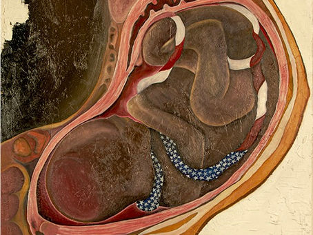 a baby in a womb