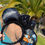 Thumbnail: Max and Roxan Embroidered Ears