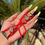 Thumbnail: 3Tone Butterfly Thread Watch Band Strap