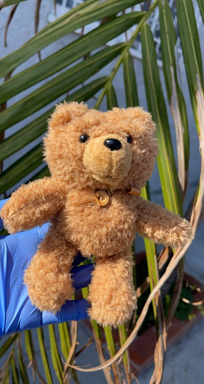 Thumbnail: Teddy bear airpod case 🧸