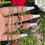 Thumbnail: Rose Heart Necklace 🌹