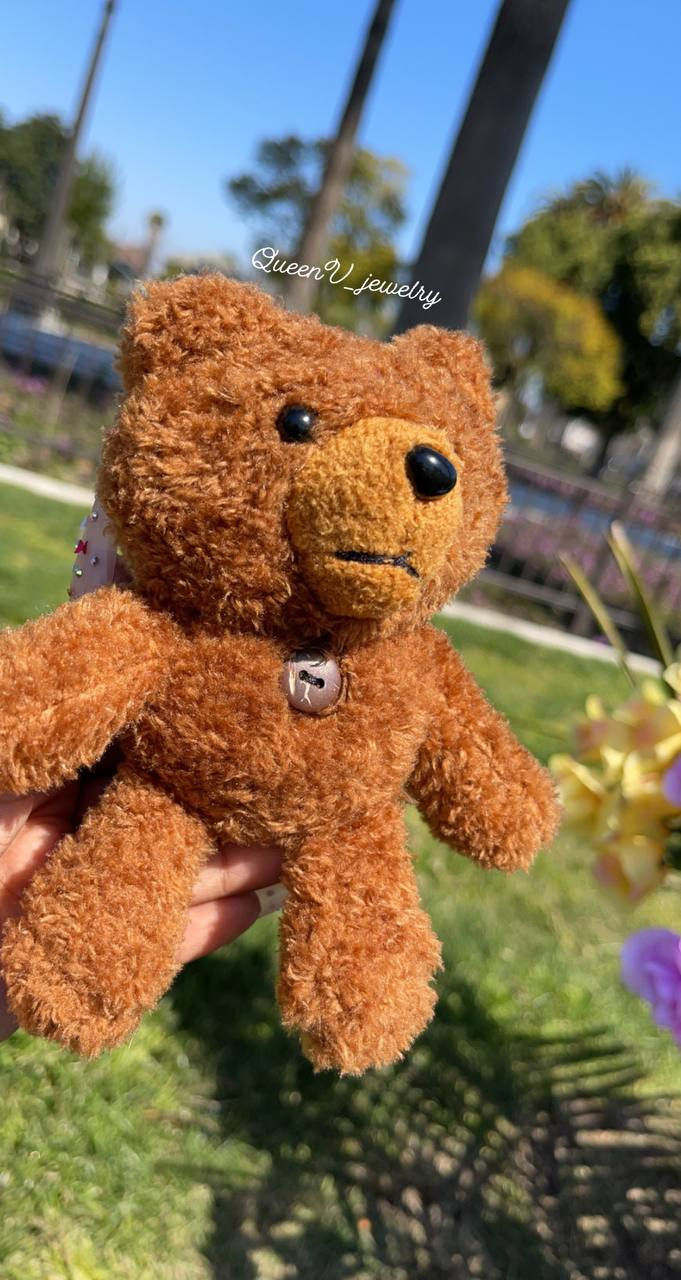 Thumbnail: Teddy bear airpod case 🧸
