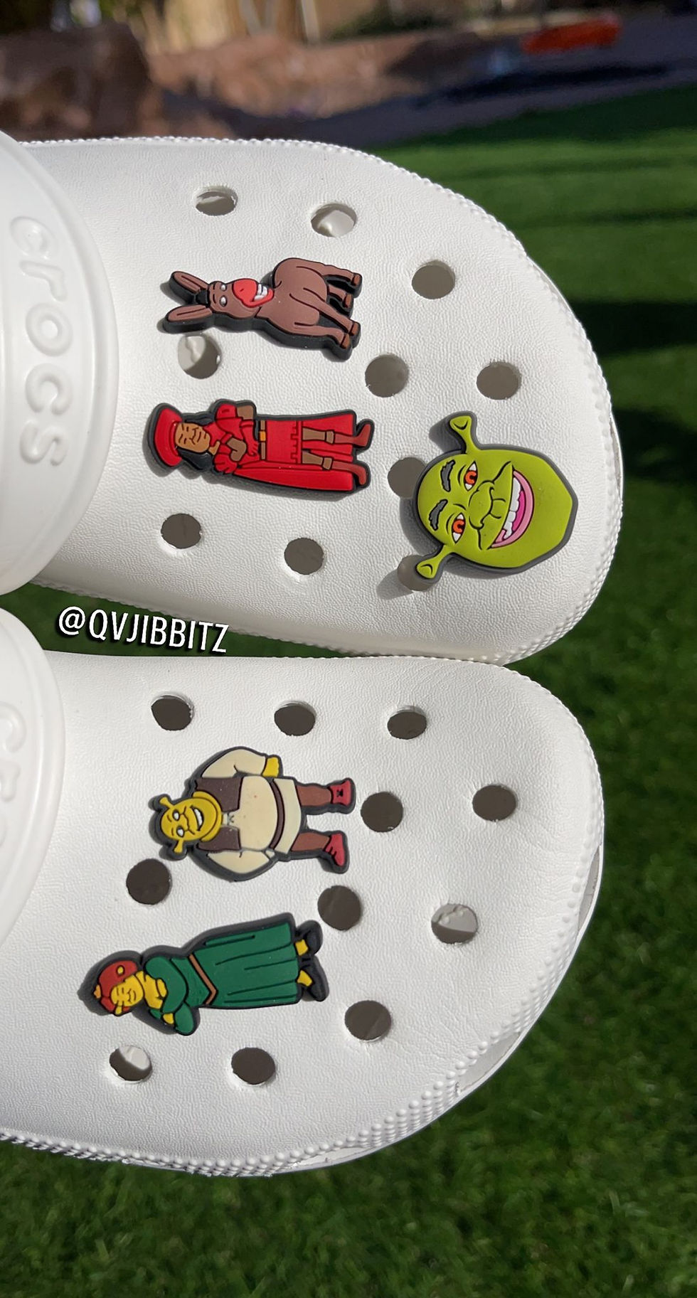 Thumbnail: Shrek croc charms