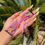 Thumbnail: 3Tone Butterfly Thread Watch Band Strap