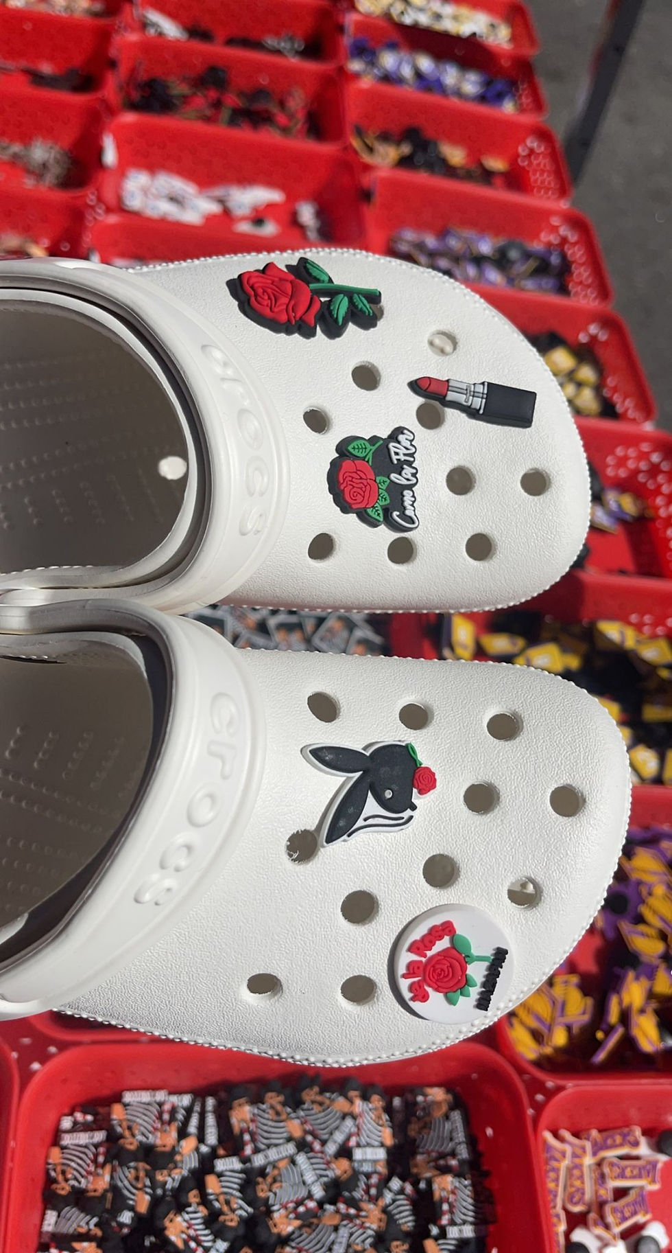 Thumbnail: Rose Croc Charms