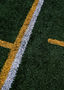 Dicks'n'FunnyAthleteNames_Turf.jpg