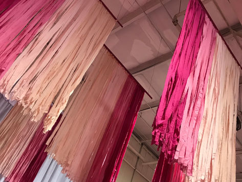 2019 Southern Women's Show Raleigh Blogger Preview Night