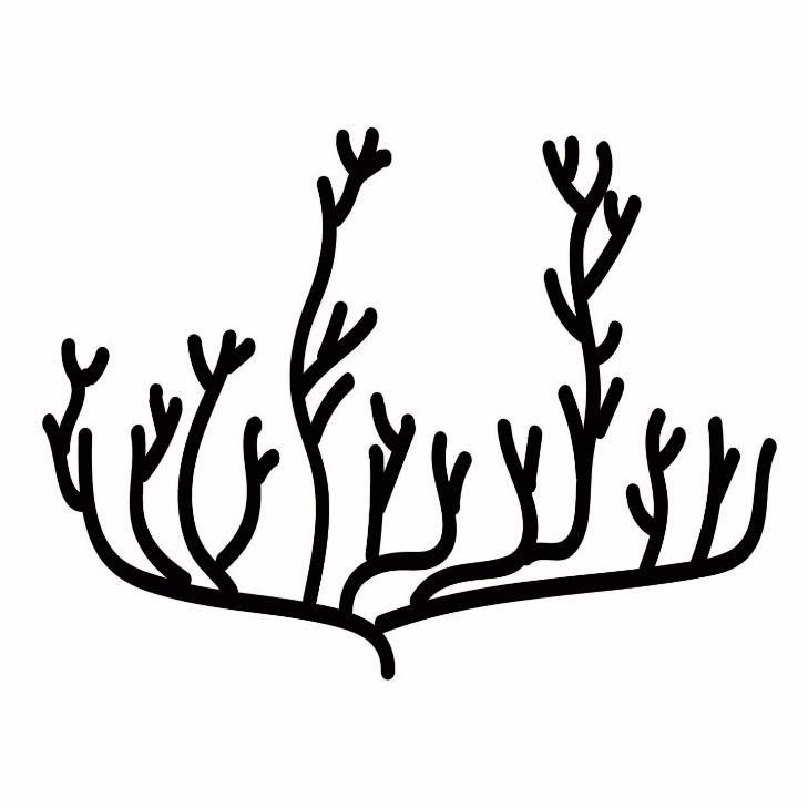 ree