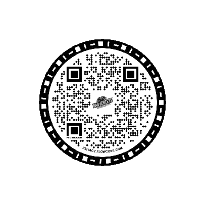 Programmed QR Code
