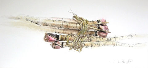 絵画「朝市の新牛蒡 / New beef bowl in the morning market / Salsifis de marché」