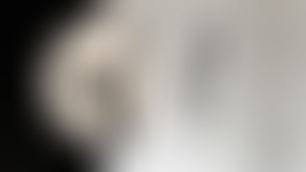 Vol.46 "Black" contrast on the dining table - Nankai Tsushin JOURNAL@note