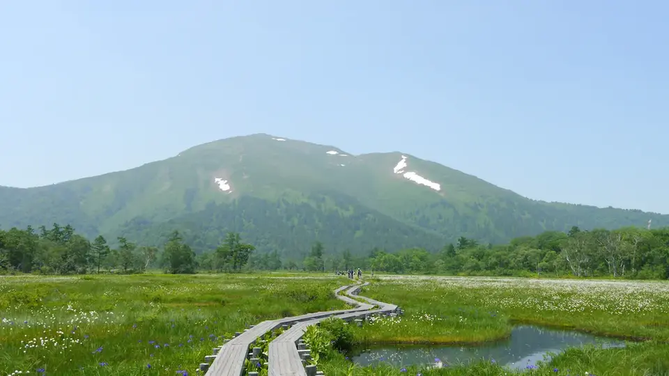 A wooden boardwalk crossing wetlands toward green mountains under a clear sky in Minakami, Japan.