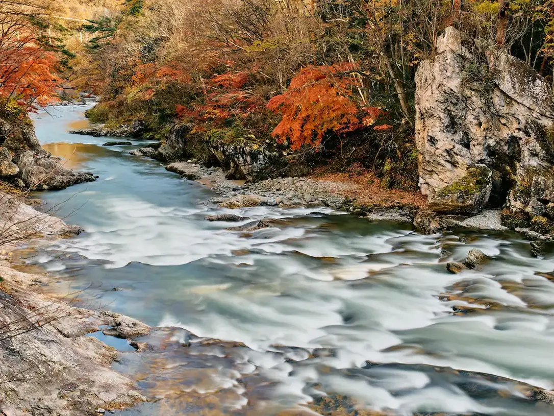autumn river in Minakami Japan, nature-based leadership retreat scene, executive coaching environment