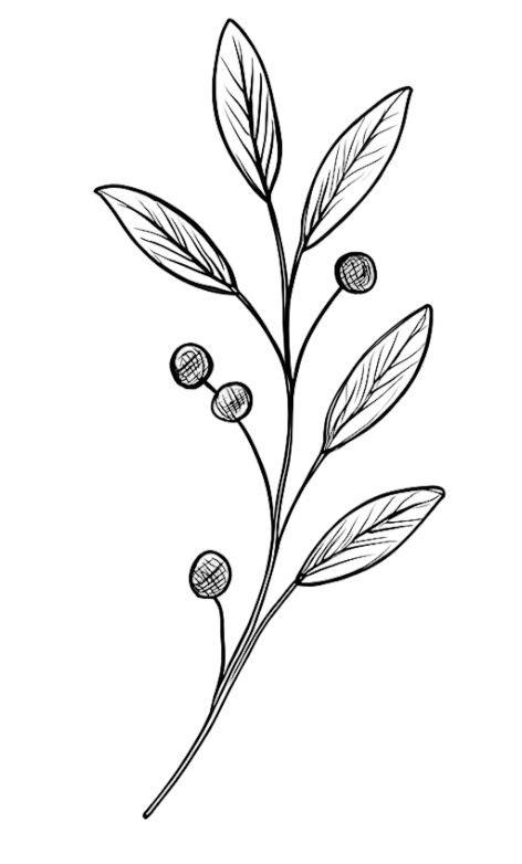 Minimal botanical illustration used as a decorative design element