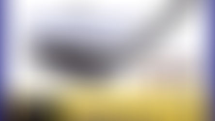 Omega Vispen will appeared on Fuji TV's "Honmadekka!? TV." (Scheduled broadcast date: Wednesday, September 21, 2022, 9:00 p.m.)