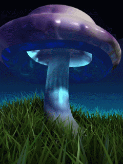 73ac0ef5b0efd5c7fb034ea8fb1fec31.gif