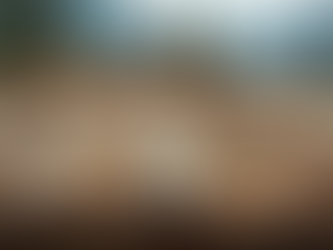 7 Crucial Reasons to Address Plywood Damage on Your Roof Today