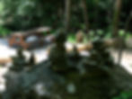 IMG_4323.jpeg