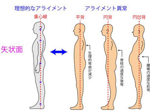 ２月のテーマ予告：姿勢を整えるヨガ