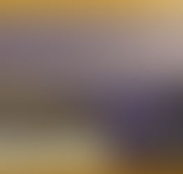 神宮スタジアムナイトヨガはじまります