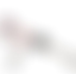 12月のテーマ：太陽礼拝で締めくくり